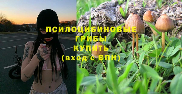 не бодяженный Богданович
