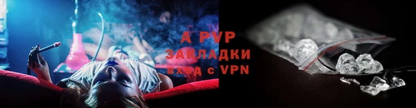не бодяженный Богданович