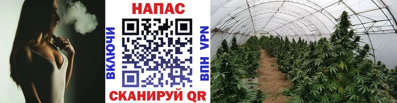 Канабис LSD WEED  даркнет сайт  Благовещенск 